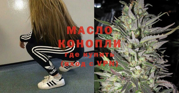 трава Инта