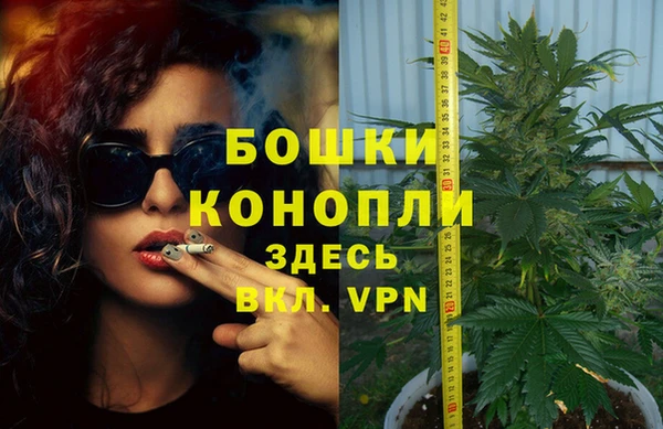 трава Инта
