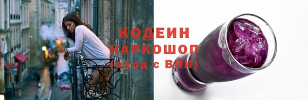 трава Инта