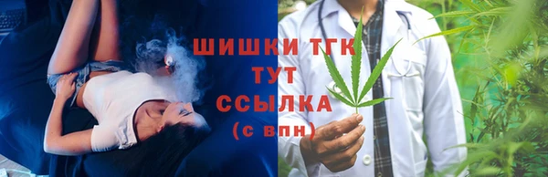 трава Инта