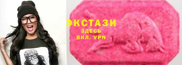 трава Инта