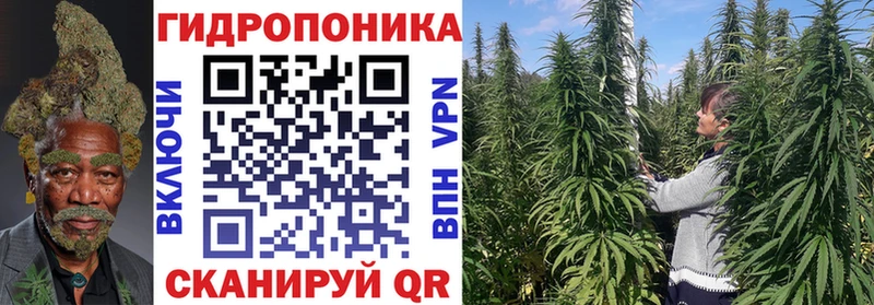 Бошки Шишки конопля Купить Камбарка